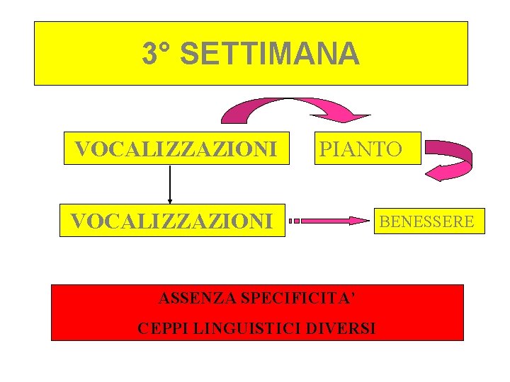 3° SETTIMANA VOCALIZZAZIONI PIANTO VOCALIZZAZIONI ASSENZA SPECIFICITA’ CEPPI LINGUISTICI DIVERSI BENESSERE 