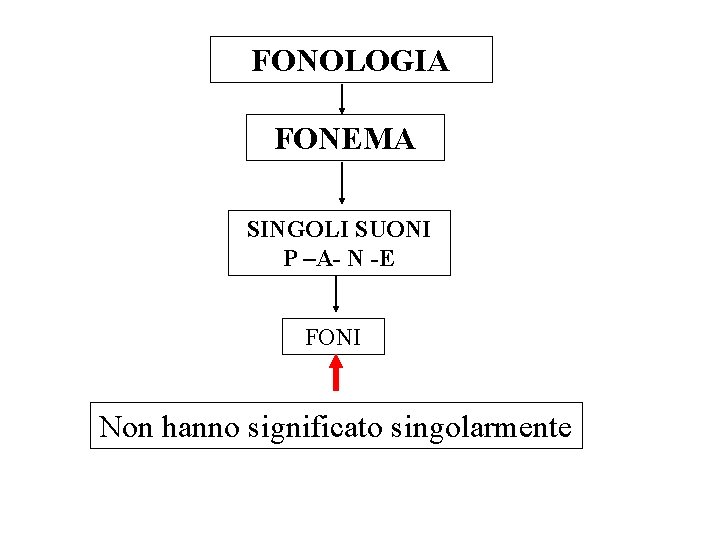 FONOLOGIA FONEMA SINGOLI SUONI P –A- N -E FONI Non hanno significato singolarmente 