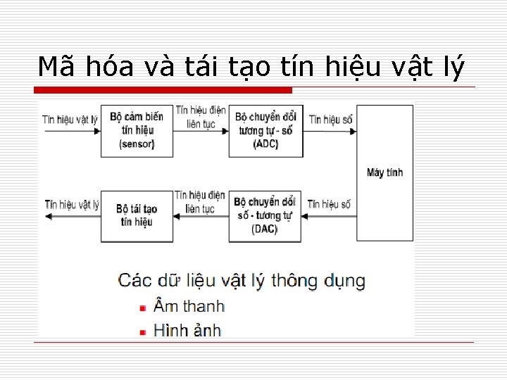 Mã hóa và tái tạo tín hiệu vật lý 