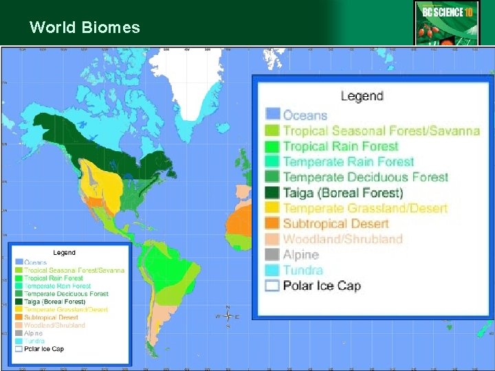 World Biomes 