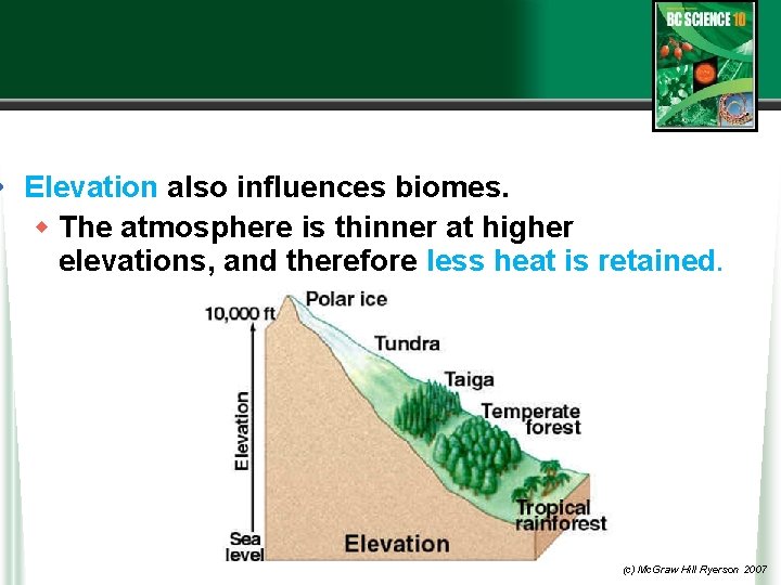  • Elevation also influences biomes. w The atmosphere is thinner at higher elevations,