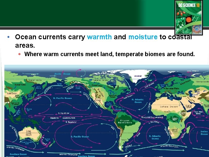  • Ocean currents carry warmth and moisture to coastal areas. w Where warm