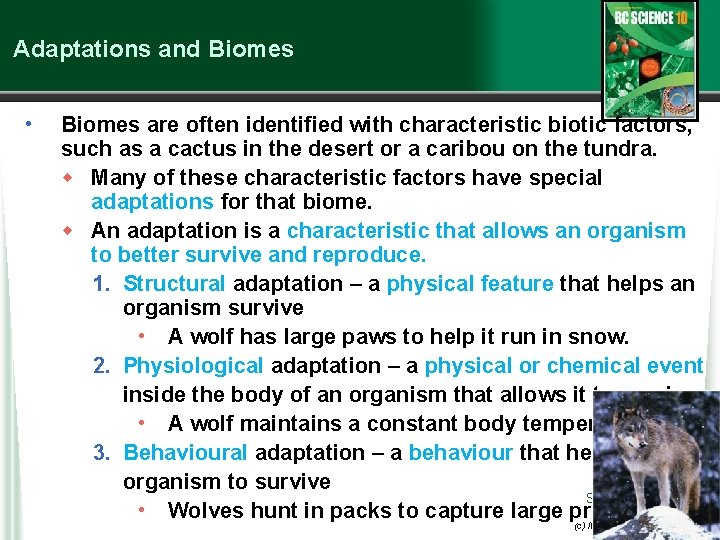 Adaptations and Biomes • Biomes are often identified with characteristic biotic factors, such as
