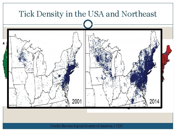 Tick Density in the USA and Northeast 1998 2015 Credit: Entomological Society of America