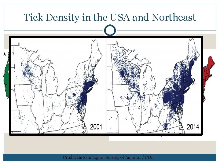 Tick Density in the USA and Northeast 1998 2015 Credit: Entomological Society of America Tick Density in the USA and Northeast 1998 2015 Credit: Entomological Society of America