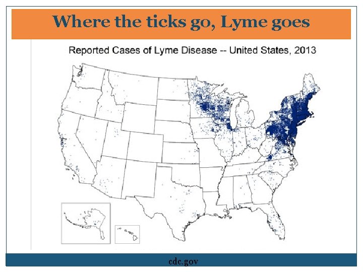Where the ticks go, Lyme goes cdc. gov 