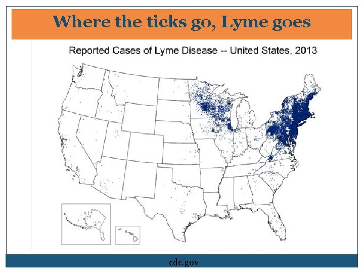 Where the ticks go, Lyme goes cdc. gov Where the ticks go, Lyme goes cdc. gov
