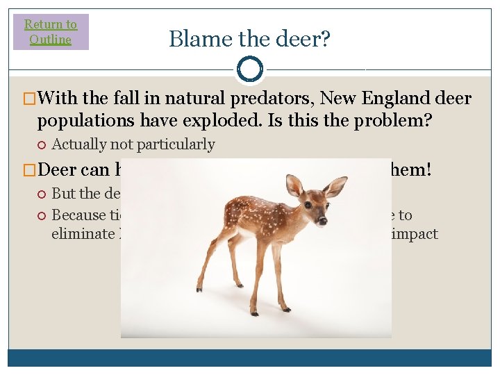 Return to Outline Blame the deer? �With the fall in natural predators, New England