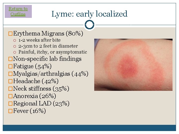 Return to Outline Lyme: early localized �Erythema Migrans (80%) 1 -2 weeks after bite