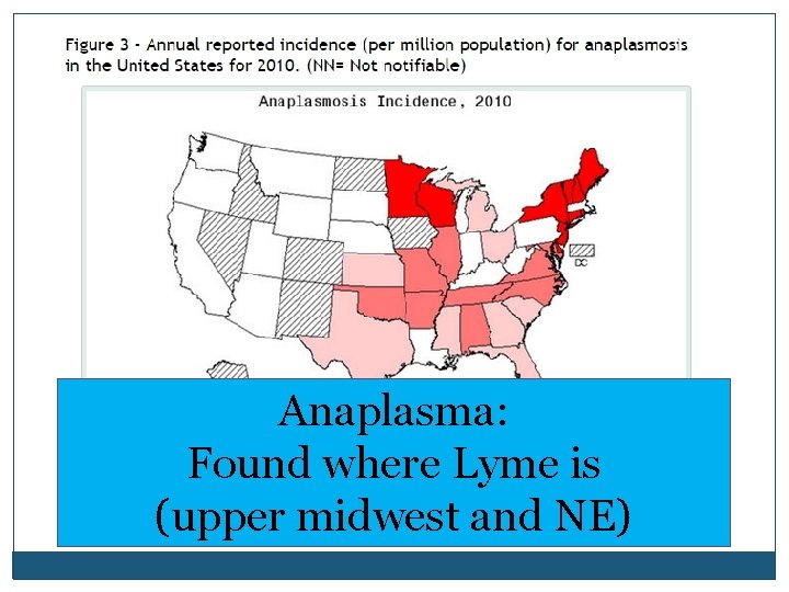 Anaplasma: Found where Lyme is (upper midwest and NE) cdc. gov 