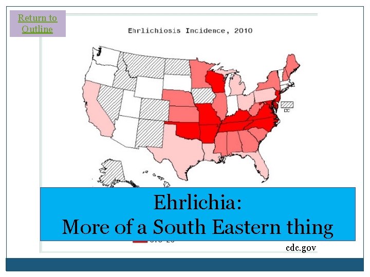 Return to Outline Ehrlichia: More of a South Eastern thing cdc. gov Return to Outline Ehrlichia: More of a South Eastern thing cdc. gov