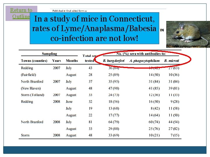 Return to Outline In a study of mice in Connecticut, rates of Lyme/Anaplasma/Babesia co-infection