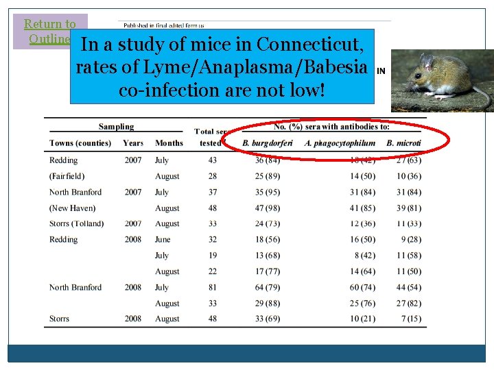 Return to Outline In a study of mice in Connecticut, rates of Lyme/Anaplasma/Babesia co-infection Return to Outline In a study of mice in Connecticut, rates of Lyme/Anaplasma/Babesia co-infection