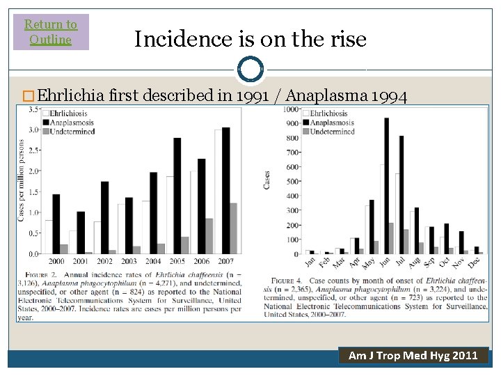 Return to Outline Incidence is on the rise � Ehrlichia first described in 1991 Return to Outline Incidence is on the rise � Ehrlichia first described in 1991