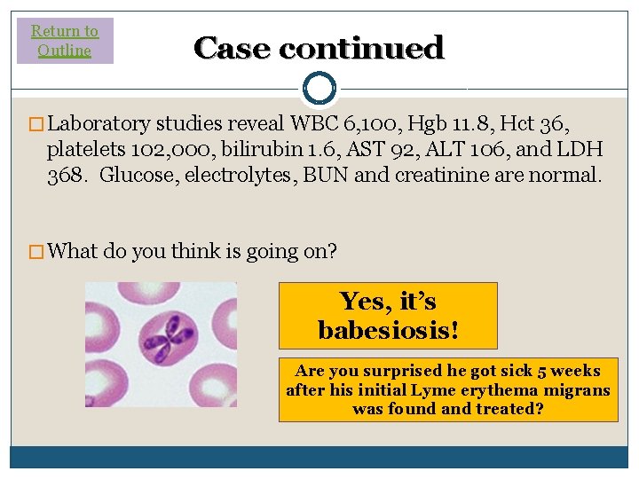 Return to Outline Case continued � Laboratory studies reveal WBC 6, 100, Hgb 11. Return to Outline Case continued � Laboratory studies reveal WBC 6, 100, Hgb 11.
