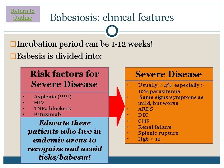 Return to Outline Babesiosis: clinical features �Incubation period can be 1 -12 weeks! �Babesia Return to Outline Babesiosis: clinical features �Incubation period can be 1 -12 weeks! �Babesia