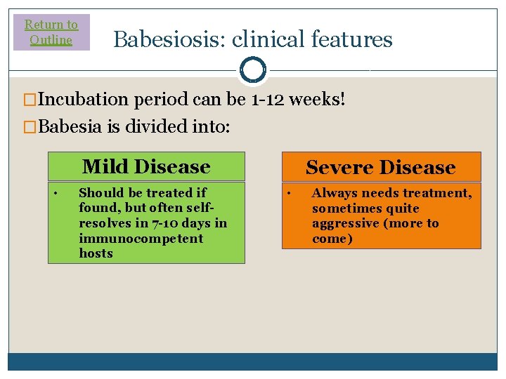 Return to Outline Babesiosis: clinical features �Incubation period can be 1 -12 weeks! �Babesia