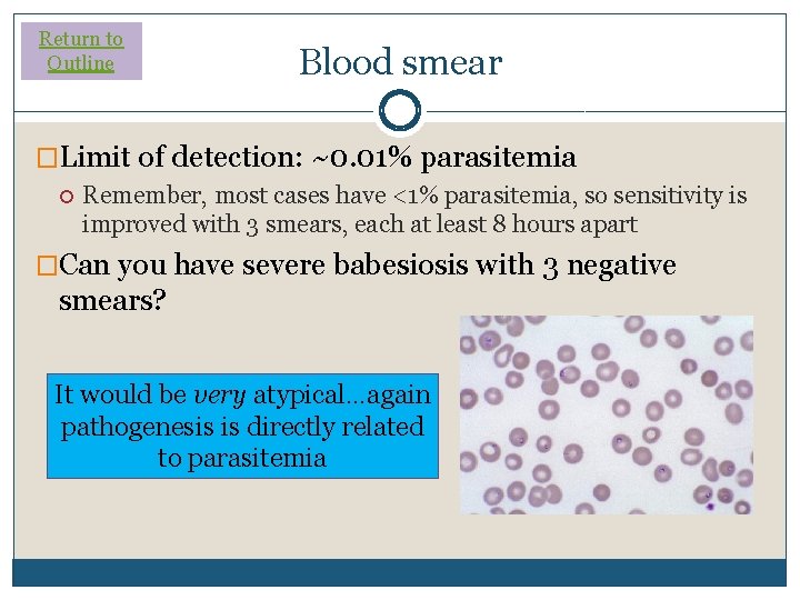 Return to Outline Blood smear �Limit of detection: ~0. 01% parasitemia Remember, most cases Return to Outline Blood smear �Limit of detection: ~0. 01% parasitemia Remember, most cases