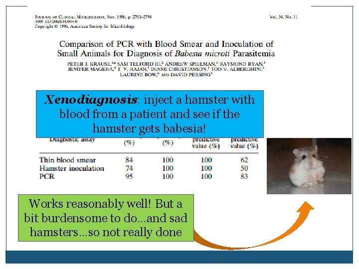 Xenodiagnosis: inject a hamster with blood from a patient and see if the hamster Xenodiagnosis: inject a hamster with blood from a patient and see if the hamster