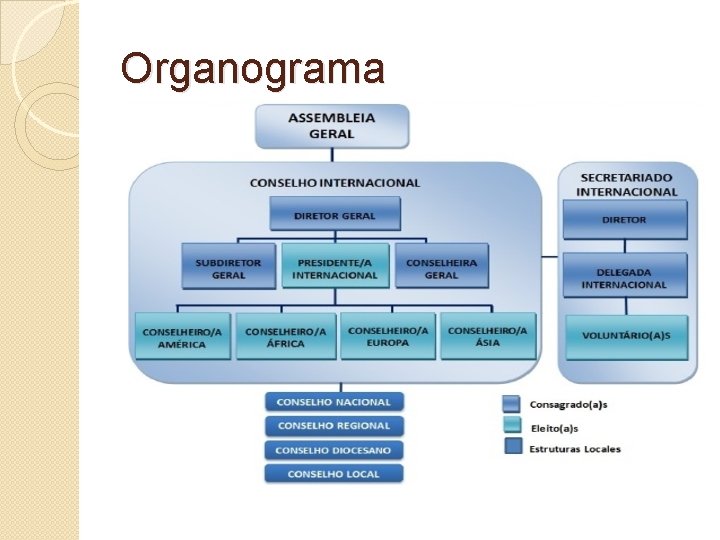 Organograma 