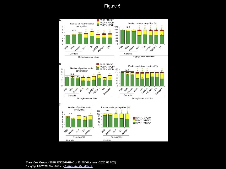 Figure 5 Stem Cell Reports 2020 15926 -940 DOI: (10. 1016/j. stemcr. 2020. 08.