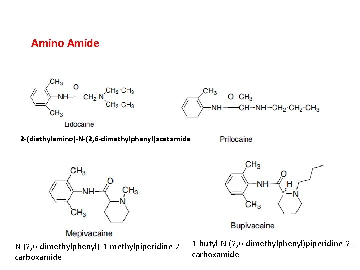 Amino Amide 2 -(diethylamino)-N-(2, 6 -dimethylphenyl)acetamide N-(2, 6 -dimethylphenyl)-1 -methylpiperidine-2 carboxamide 1 -butyl-N-(2, 6 Amino Amide 2 -(diethylamino)-N-(2, 6 -dimethylphenyl)acetamide N-(2, 6 -dimethylphenyl)-1 -methylpiperidine-2 carboxamide 1 -butyl-N-(2, 6