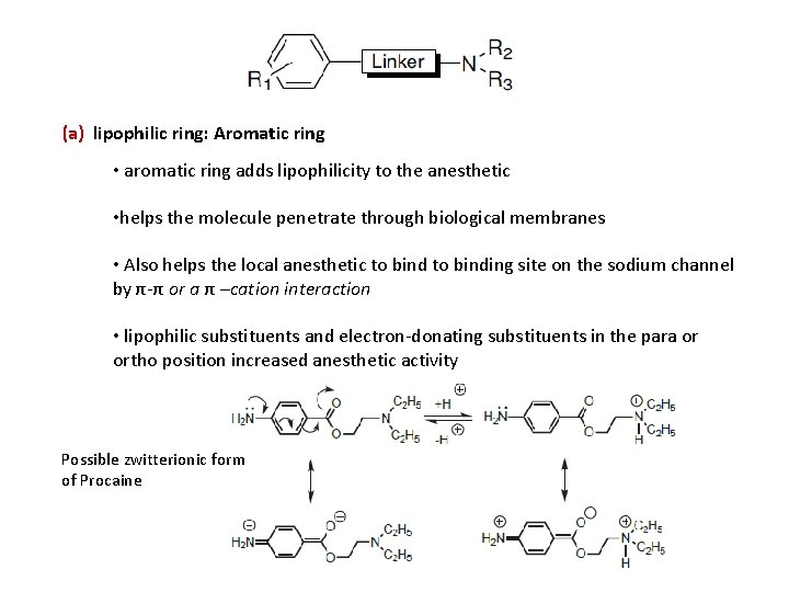 (a) lipophilic ring: Aromatic ring • aromatic ring adds lipophilicity to the anesthetic • (a) lipophilic ring: Aromatic ring • aromatic ring adds lipophilicity to the anesthetic •