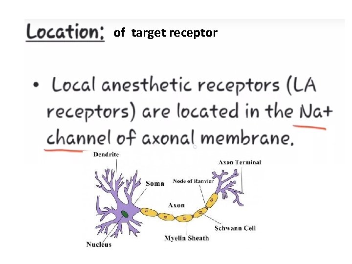 of target receptor of target receptor