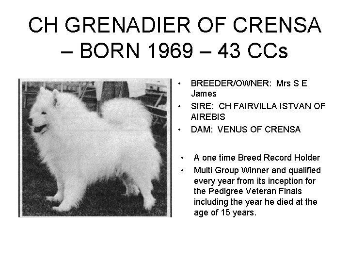 CH GRENADIER OF CRENSA – BORN 1969 – 43 CCs • • • BREEDER/OWNER: CH GRENADIER OF CRENSA – BORN 1969 – 43 CCs • • • BREEDER/OWNER: