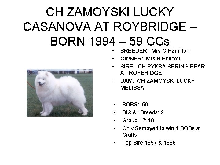 CH ZAMOYSKI LUCKY CASANOVA AT ROYBRIDGE – BORN 1994 – 59 CCs • • CH ZAMOYSKI LUCKY CASANOVA AT ROYBRIDGE – BORN 1994 – 59 CCs • •