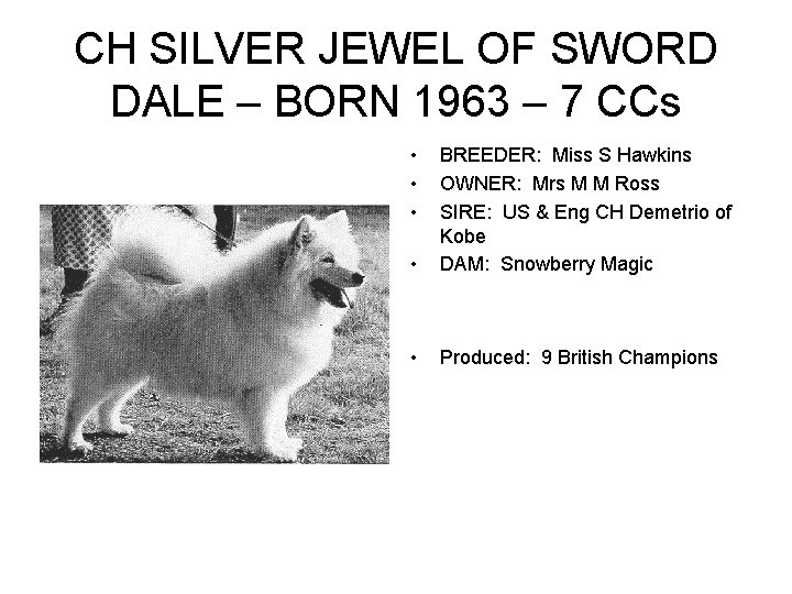 CH SILVER JEWEL OF SWORD DALE – BORN 1963 – 7 CCs • •