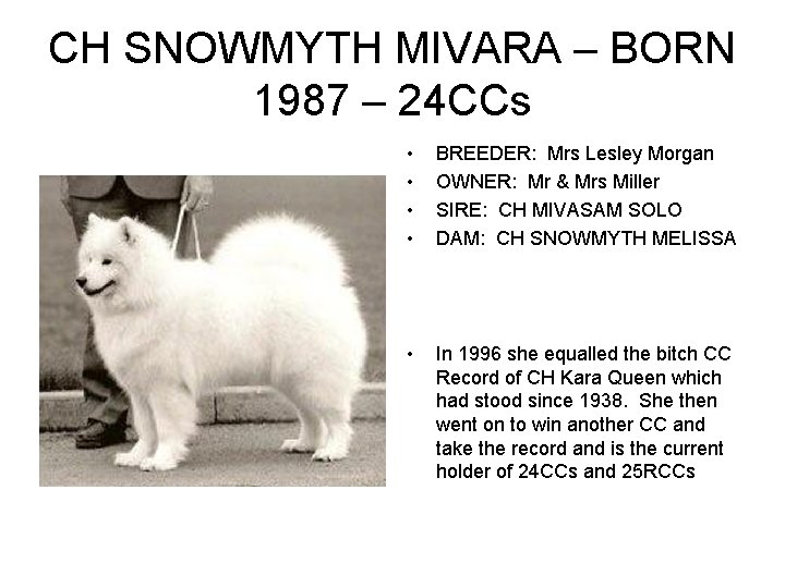 CH SNOWMYTH MIVARA – BORN 1987 – 24 CCs • • BREEDER: Mrs Lesley