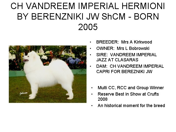 CH VANDREEM IMPERIAL HERMIONI BY BERENZNIKI JW Sh. CM - BORN 2005 • • CH VANDREEM IMPERIAL HERMIONI BY BERENZNIKI JW Sh. CM - BORN 2005 • •