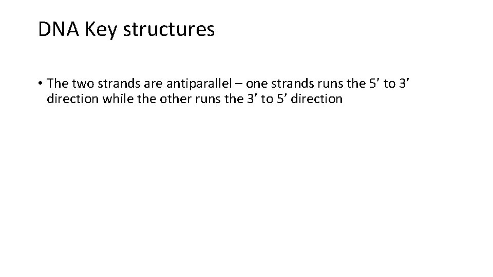 DNA Key structures • The two strands are antiparallel – one strands runs the