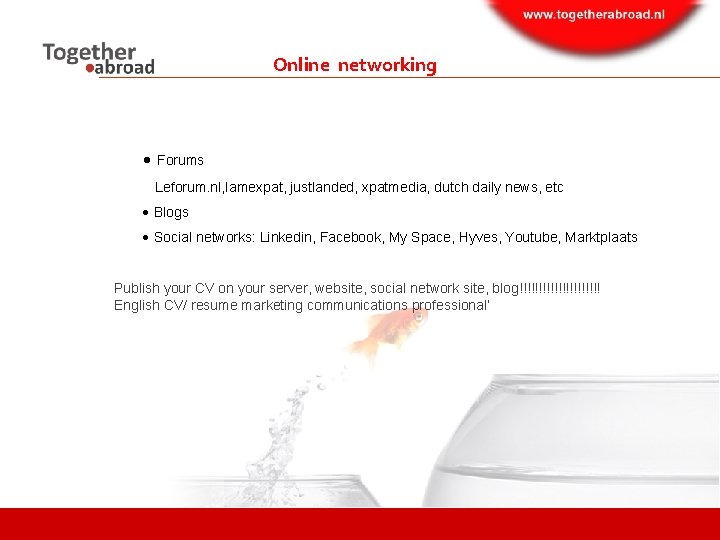 Online networking Forums Leforum. nl, Iamexpat, justlanded, xpatmedia, dutch daily news, etc Blogs Social