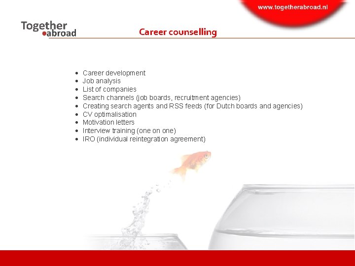 Career counselling Career development Job analysis List of companies Search channels (job boards, recruitment