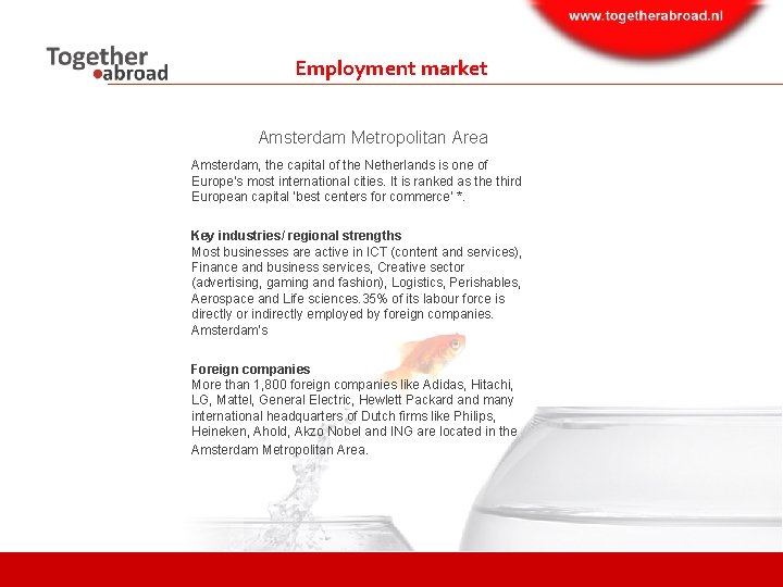 Employment market Amsterdam Metropolitan Area Amsterdam, the capital of the Netherlands is one of