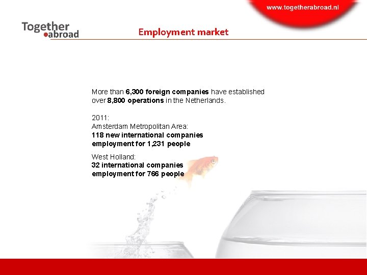 Employment market More than 6, 300 foreign companies have established over 8, 800 operations