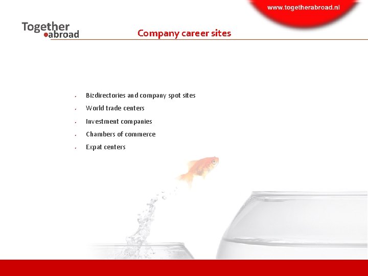 Company career sites • Bizdirectories and company spot sites • World trade centers •