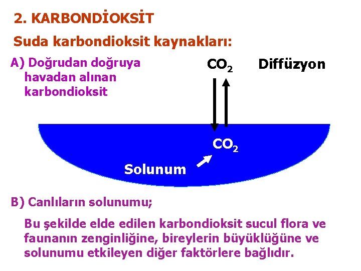 2. KARBONDİOKSİT Suda karbondioksit kaynakları: A) Doğrudan doğruya havadan alınan karbondioksit CO 2 Diffüzyon