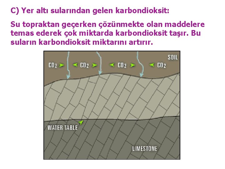 C) Yer altı sularından gelen karbondioksit: Su topraktan geçerken çözünmekte olan maddelere temas ederek