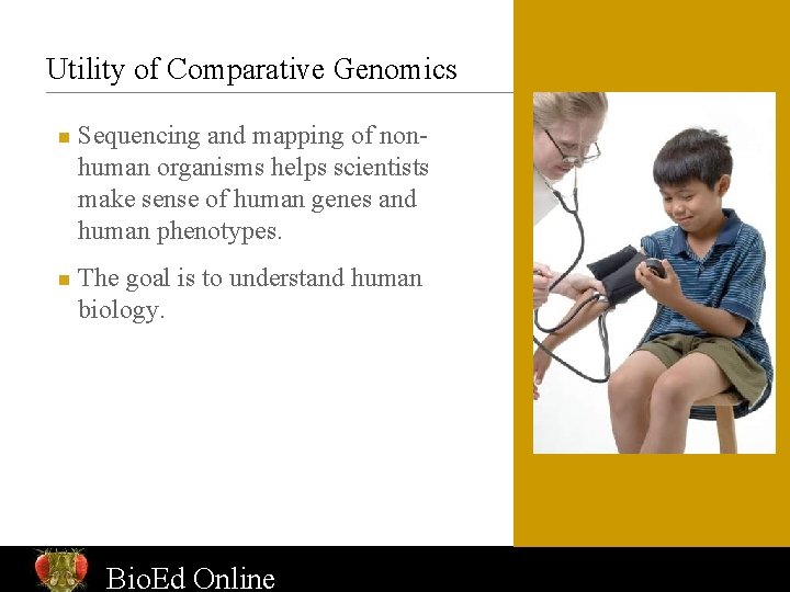 Utility of Comparative Genomics n n Sequencing and mapping of nonhuman organisms helps scientists