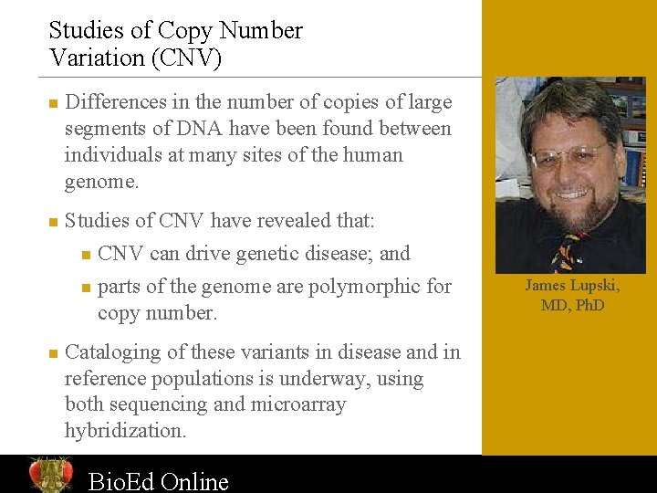 Studies of Copy Number Variation (CNV) n n n Differences in the number of