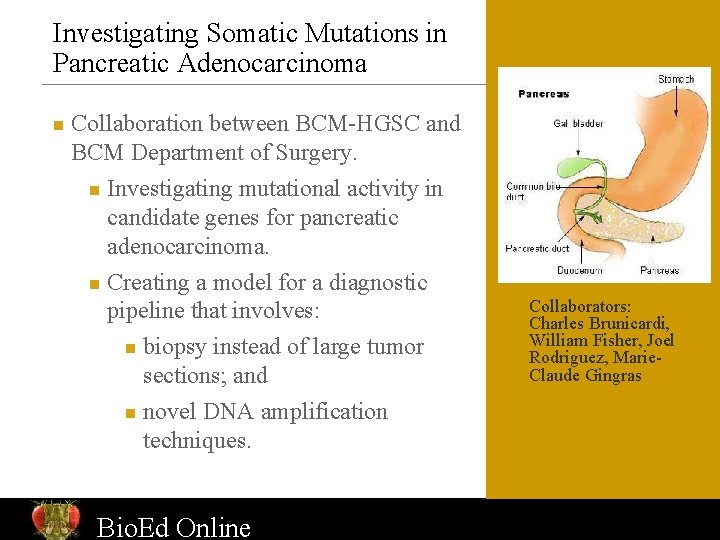 Investigating Somatic Mutations in Pancreatic Adenocarcinoma n Collaboration between BCM-HGSC and BCM Department of