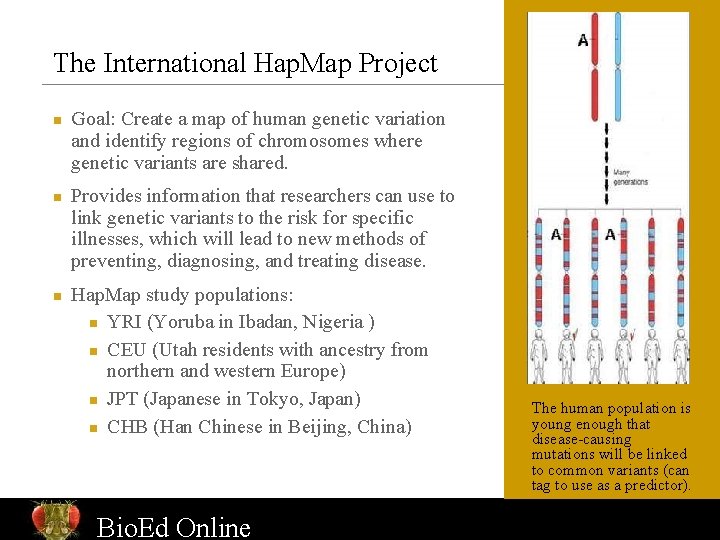 The International Hap. Map Project n n n Goal: Create a map of human