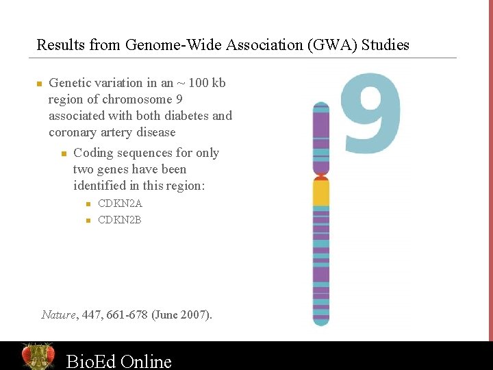 Results from Genome-Wide Association (GWA) Studies n Genetic variation in an ~ 100 kb