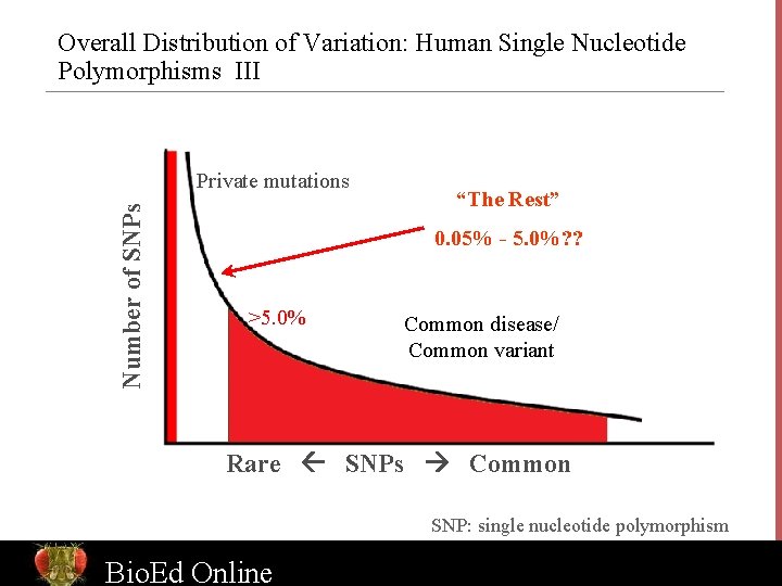 Overall Distribution of Variation: Human Single Nucleotide Polymorphisms III Number of SNPs Private mutations
