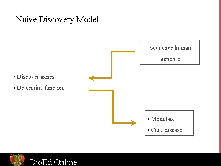 Naive Discovery Model Sequence human genome • Discover genes • Determine function • Modulate