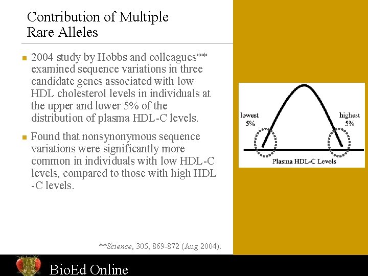 Contribution of Multiple Rare Alleles n n 2004 study by Hobbs and colleagues** examined