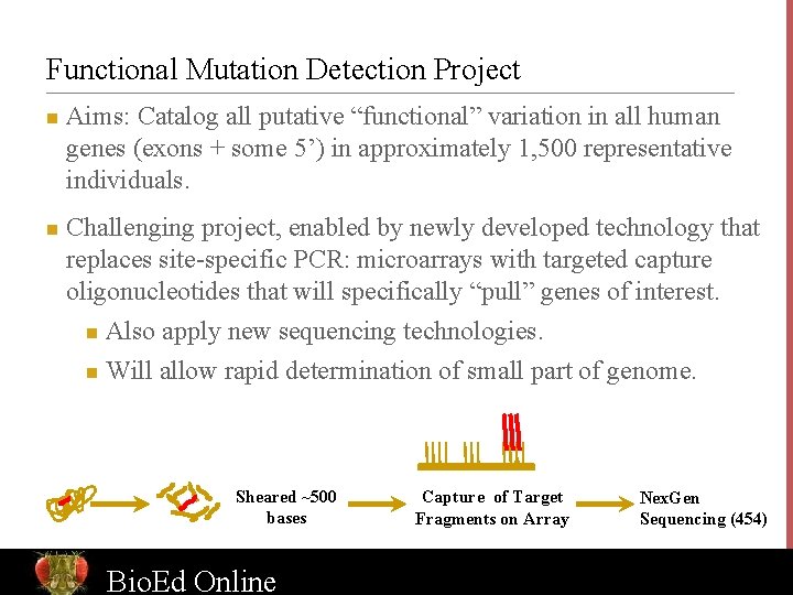 Functional Mutation Detection Project n n Aims: Catalog all putative “functional” variation in all